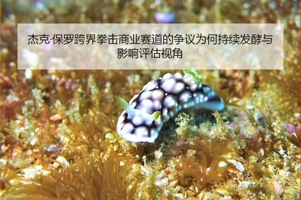 杰克·保罗跨界拳击商业赛道的争议为何持续发酵与影响评估视角