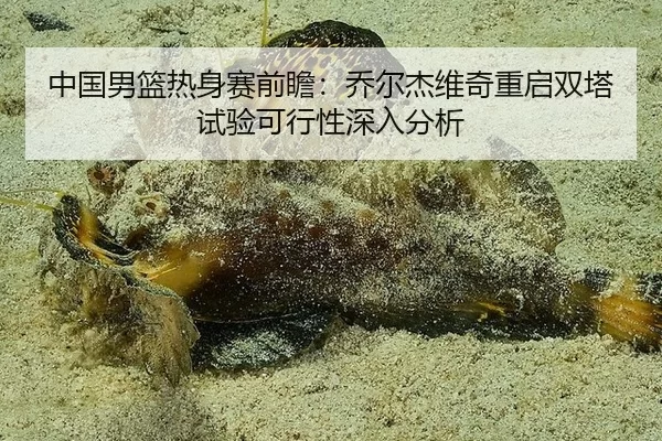 中国男篮热身赛前瞻：乔尔杰维奇重启双塔试验可行性深入分析