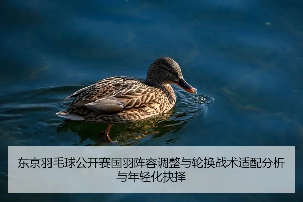 东京羽毛球公开赛国羽阵容调整与轮换战术适配分析与年轻化抉择
